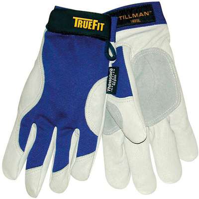 Cold Protection Gloves,L,Bl/