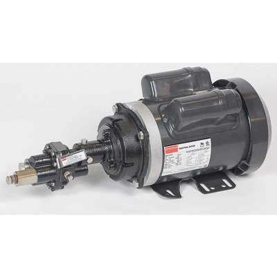 Rotary Pump,1Phase,125psi,Cst