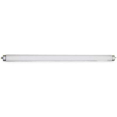 Blacklight Replacement Bulb,15