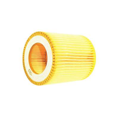 Filter Element,2-45/64in. H