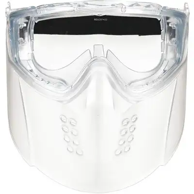 Faceshield Goggle Assembly,