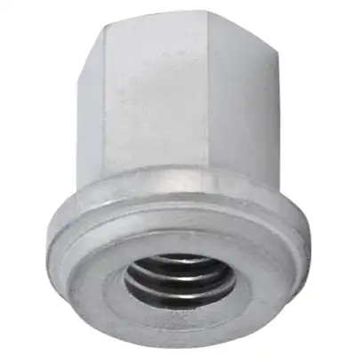 3/8 Hold Down Nut Stainless