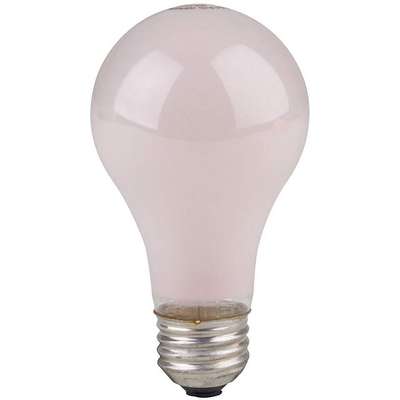 Incandescent Light Bulb,A19,60W