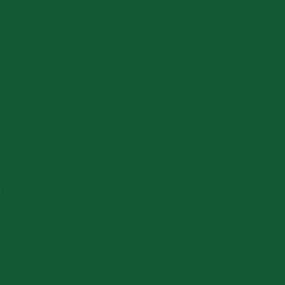 Ext. Paint,Frond Of Green,Flat,