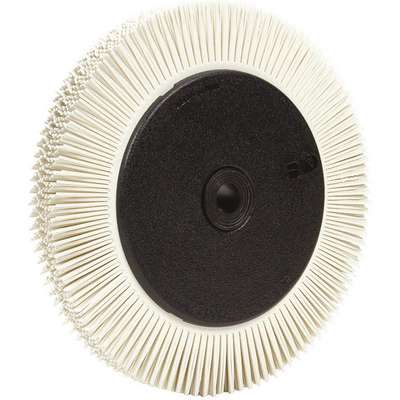 Ral Brush w/Flange,T-S,8x1x1 1/4In,PK2