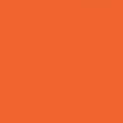 Rust-Oleum Orange Paint 245477