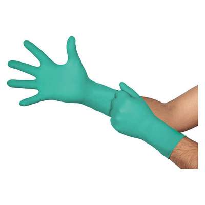 Disposable Gloves,M,12" L,PK50
