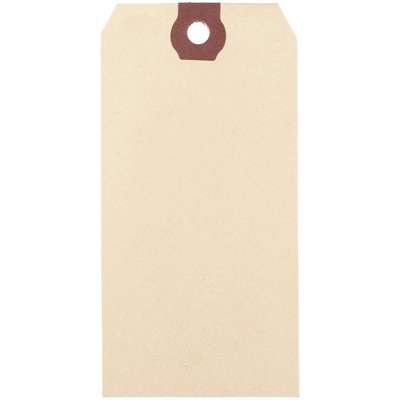 Wire Tag, Paper, Blank, 1000PK