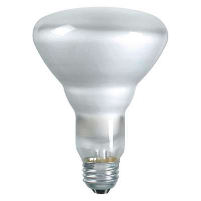 Incandescent Lamp,BR30,5-3/8"L,