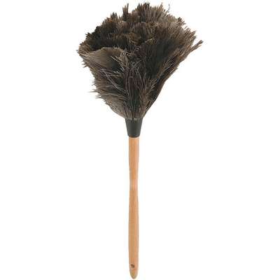 Feather Duster, 14"