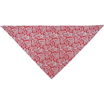 Cooling Triangle Hat,Red
