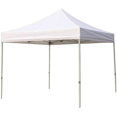 Canopy Shelter,10x10 Ft