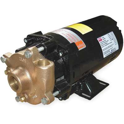 Centrifugal Pump,1.5 Hp,3 Ph,