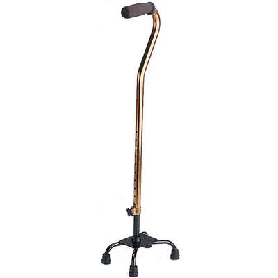 Cane,Bronze,29 To 38 In. H,250