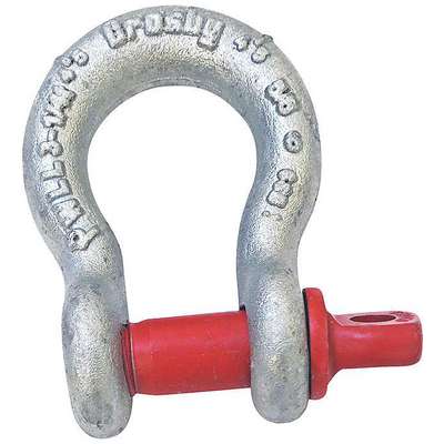 Anchor Shackle,Carbon Steel,19,