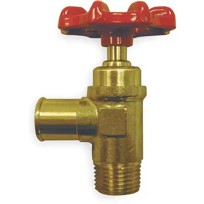 Drain Cock,Pipe To Hose,3/4 In,