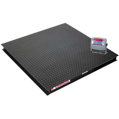 Floor Scale,Digital,1000kg/