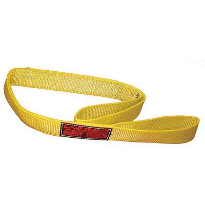 Polyester Web Sling 10 ft.L Type 3 3inW 