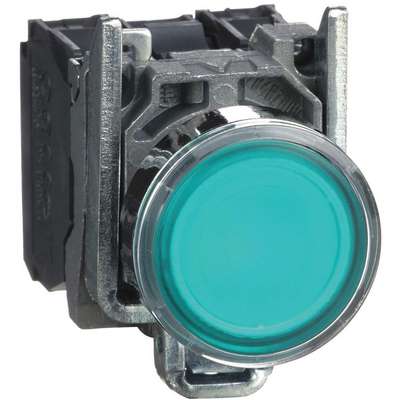 Illuminated Push Button,22mm,