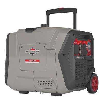 Portable Generator,120VAC,30.