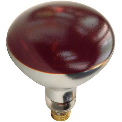 Incandescent Heat Lamp,250W,Red