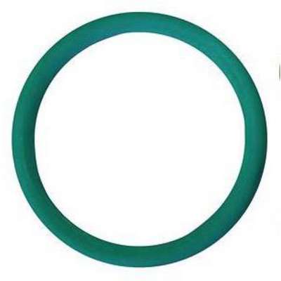 Biocircle Filter O-Ring
