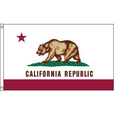California Flag,4x6 Ft,Nylon