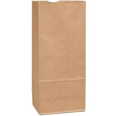 Grocery Bag,Standard,Paper,