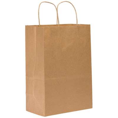 Shopping Bag,Standard,Paper,