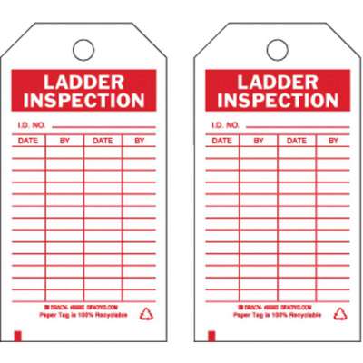 Lad Inspection Tag,5-3/4 x 3