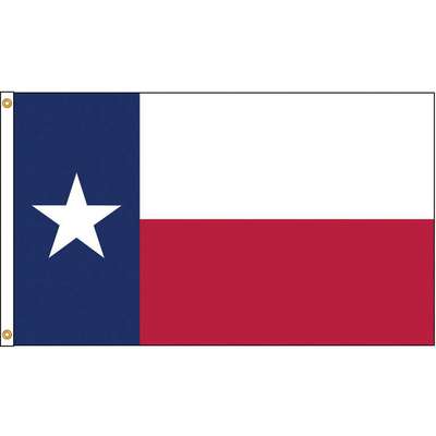 Texas Flag,4x6 Ft,Nylon