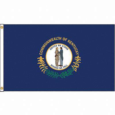 Kentucky Flag,4x6 Ft,Nylon
