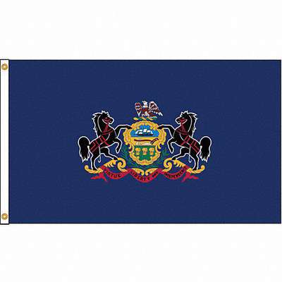 Pennsylvania Flag,4x6 Ft,Nylon