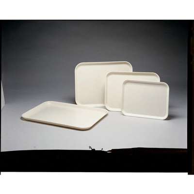 Tray, Chemical Resistant, 3/4