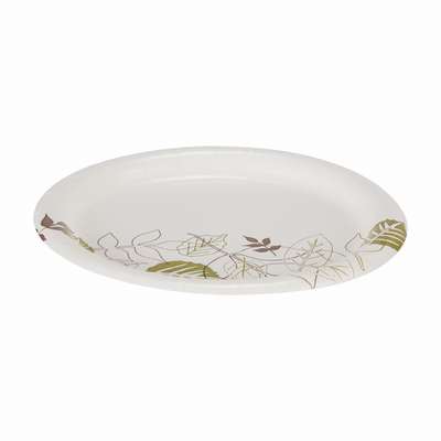 915316 Dixie Disposable Plate: Paper, Luncheon Plate, 6-7/8 in Disposable  Plate Size, Pathways, 1,000 PK