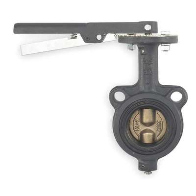 Butterfly Valve,Wafer,8 In,Ci,