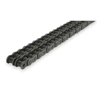 Roller Chain,Riveted,40-2,10