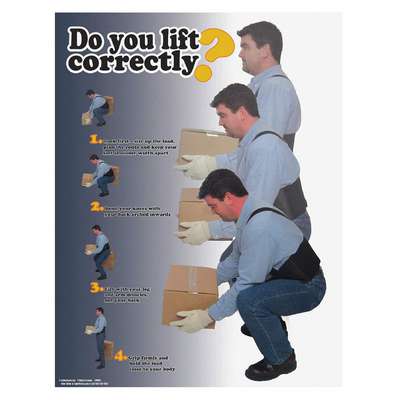 Safety Poster,22 In x 17 In,