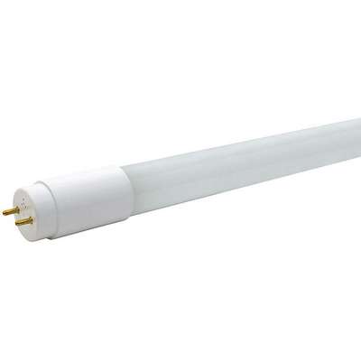 Linear LED Bulb,T8,48"L,2-