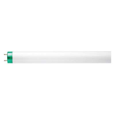 Linear Fluor Bulb,T8,36" L,G13,