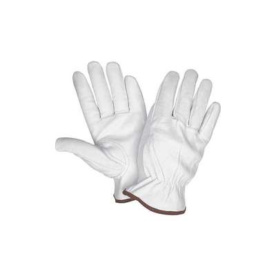 Leather Gloves,White,L,PK12