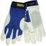Cold Protection Gloves,XL,Bl/