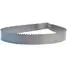 Band Saw Blade,12 Ft. L ,1 In.