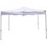 Instant Canopy,11ft 10 In H,