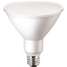 LED Lamp,PAR38,E26,15W,Warm