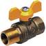 Ball Valve,1/4 In M x F,Forged
