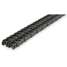 Roller Chain,Riveted,100-2