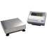 Bench Scale,6000g/15 Lb.,