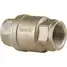 Check Valve,Stainless Steel,1/