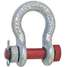 Shackle,1-1/2 In.,34,000 Lb.